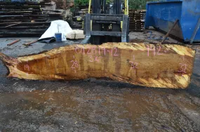 012819-12 Oregon White Oak Slab