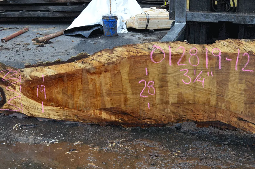 012819-12 Oregon White Oak Slab