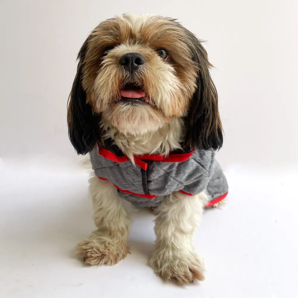 Pawgypets Reversible Quilted Jacket for Dogs and Cats (Grey/Red)