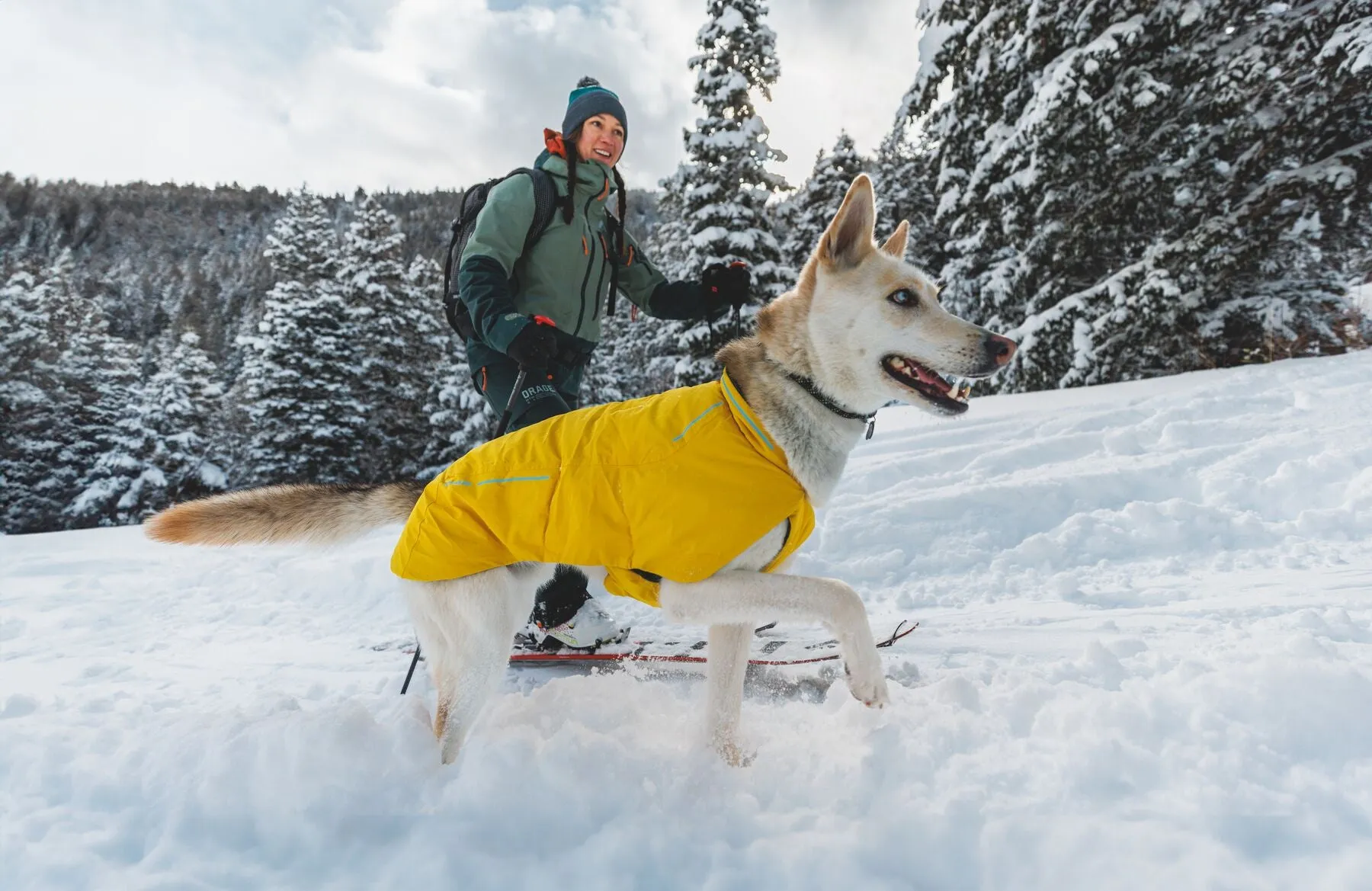 Ruffwear Vert Dog Jacket