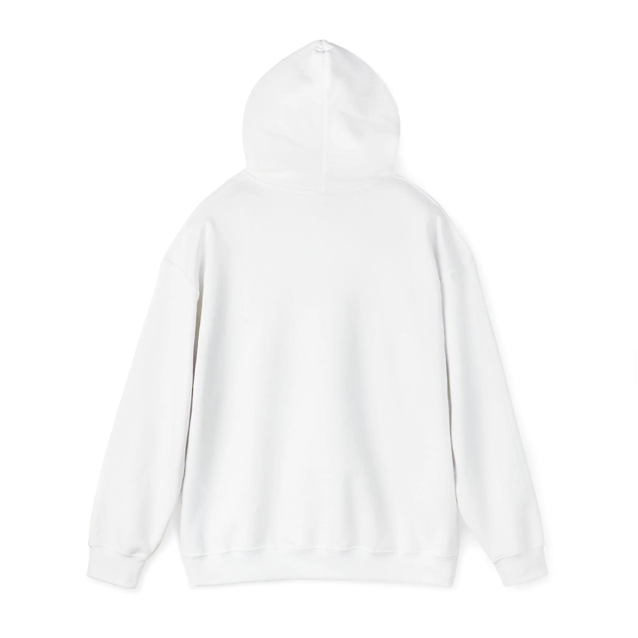 Sleek By Spirit Hoodie