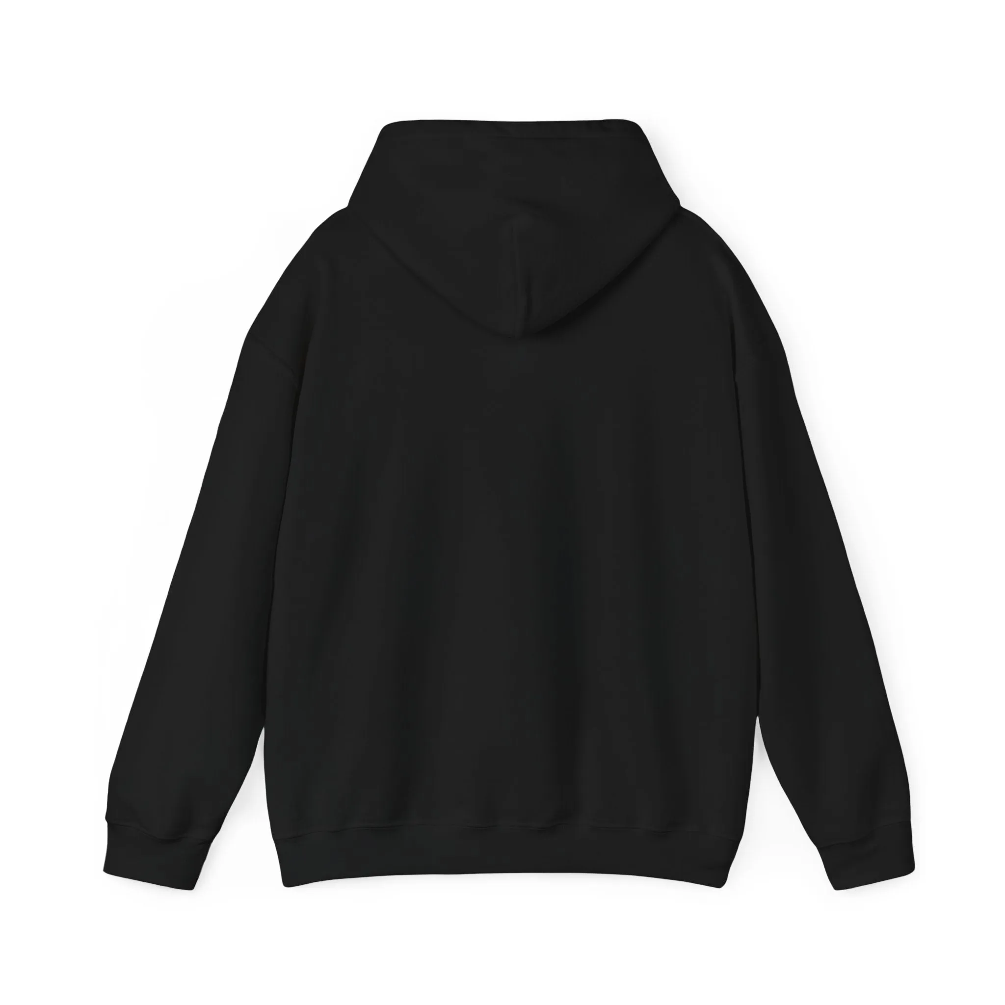 Sleek By Spirit Hoodie