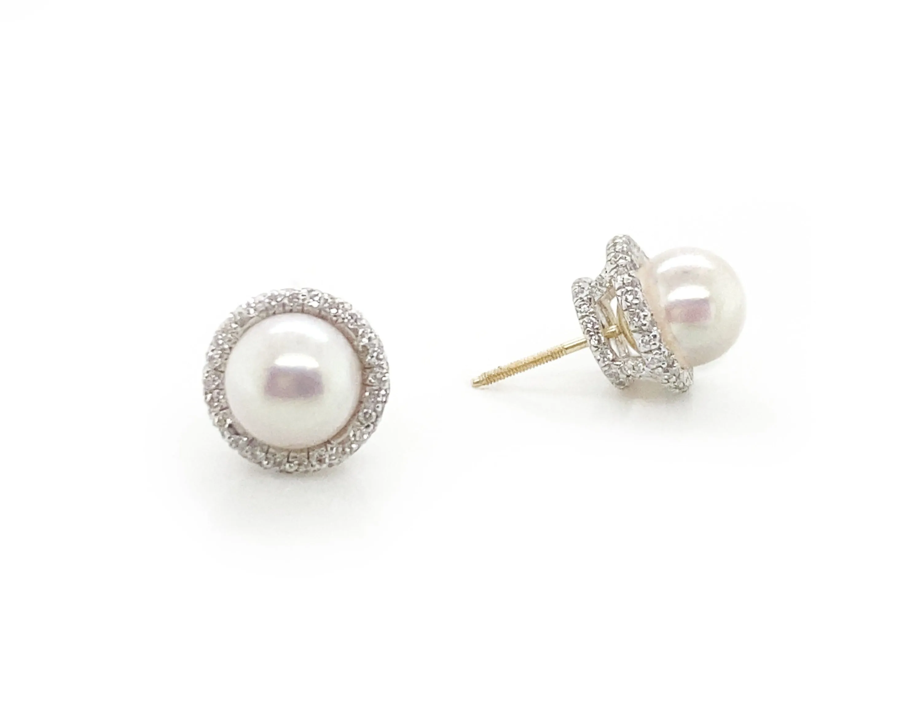 White Pearl Earrings